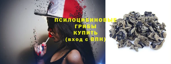 ПСИЛОЦИБИНОВЫЕ ГРИБЫ Богданович