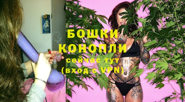 ПСИЛОЦИБИНОВЫЕ ГРИБЫ Богданович