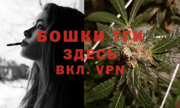 ПСИЛОЦИБИНОВЫЕ ГРИБЫ Богданович