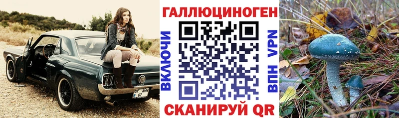 цены   Можайск  Галлюциногенные грибы Psilocybe 