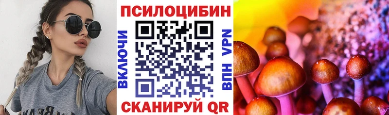 Псилоцибиновые грибы Cubensis Можайск